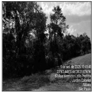 Terreno — Mato Dentro